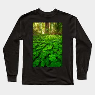 Redwood Sorrel in the Forest Long Sleeve T-Shirt